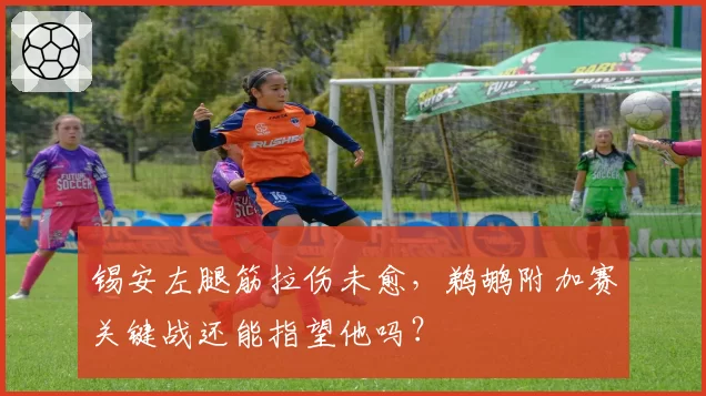 锡安左腿筋拉伤未愈，鹈鹕附加赛关键战还能指望他吗？