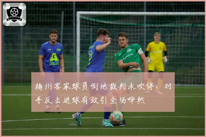梅州客家球员倒地裁判未吹停,对手反击进球有效引全场哗然