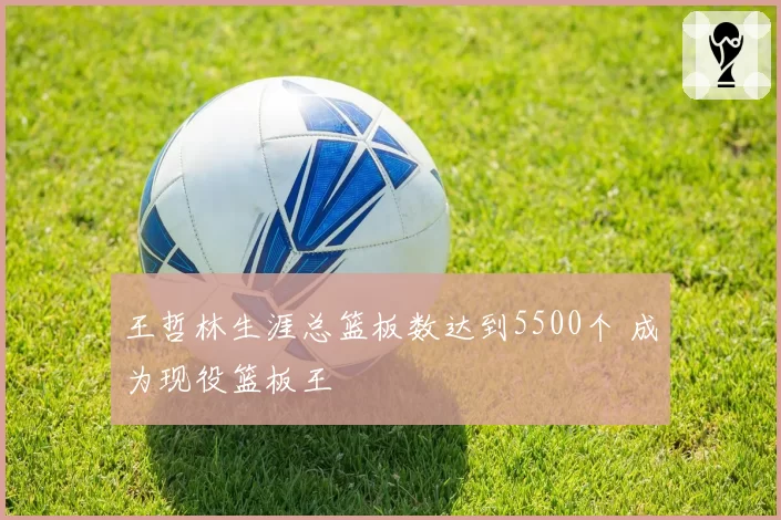 王哲林生涯总篮板数达到5500个 成为现役篮板王