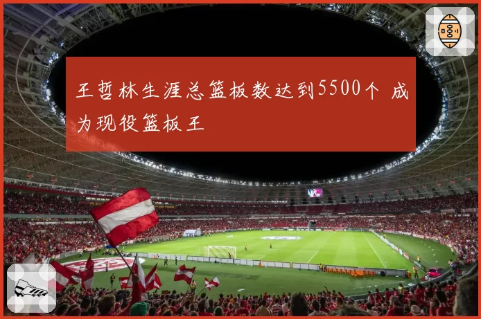 王哲林生涯总篮板数达到5500个 成为现役篮板王