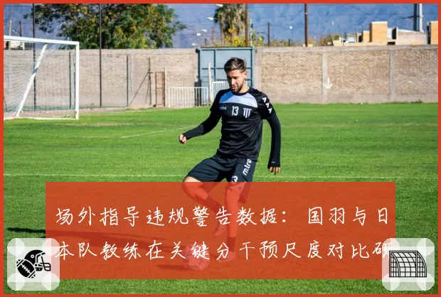 场外指导违规警告数据：国羽与日本队教练在关键分干预尺度对比研究